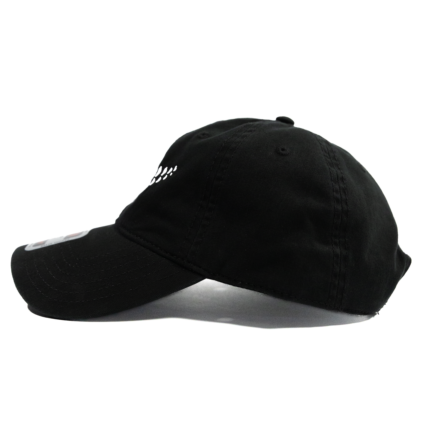 
                  
                    Order of the Dad Hat
                  
                